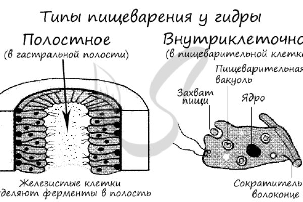 Кракен маркетплейс в москве