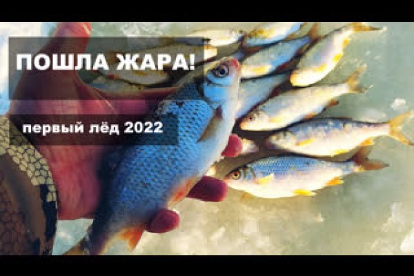 Как зайти на кракен с телефона андроид