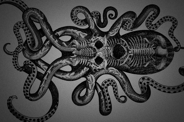 Kraken зеркала маркетплейс