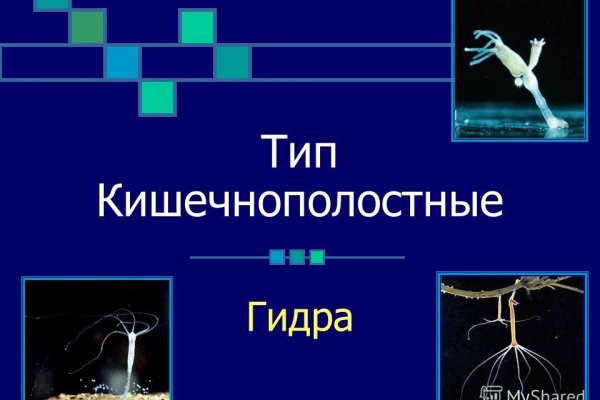 Кракен зеркало onion